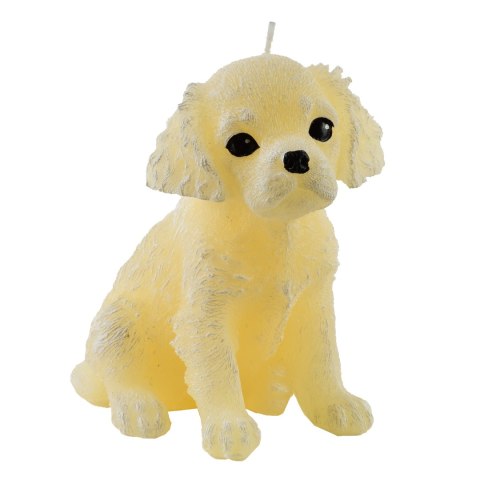 Świeca Figurka ANIMALS PIES SPANIEL 11x14cm kremowa parafinowa Świeca Figurka ANIMALS PIES SPANIEL 11x14cm kremowa parafinowa
