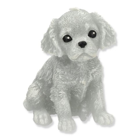 Świeca Figurka ANIMALS PIES SPANIEL 11x14cm szara parafinowa Świeca Figurka ANIMALS PIES SPANIEL 11x14cm szara parafinowa