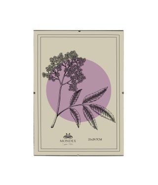 ADI Ramka 21x29,7 cm Antyrama