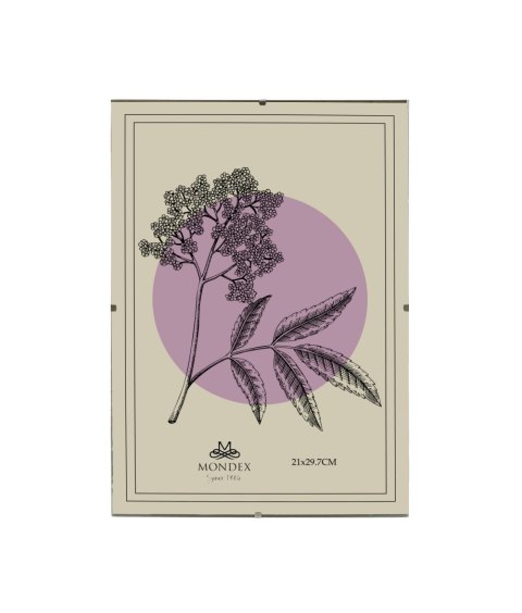 ADI Ramka 21x29,7 cm Antyrama