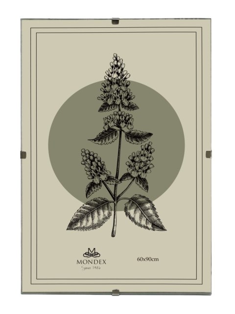 ADI Ramka 60x90 cm Antyrama