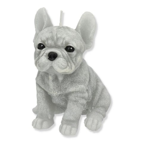 Świeca Figurka ANIMALS PIES BULDOG 11,5x15cm szara parafinowa