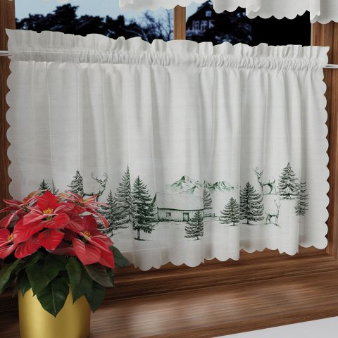 Zazdrostka świąteczna 100x60 002 zielona